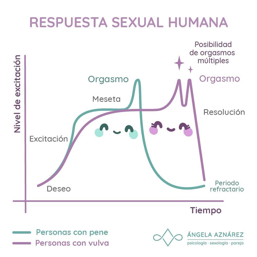 Respuesta Sexual Humana Ángela Aznárez Sexología Y Psicología